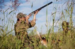 chasse
