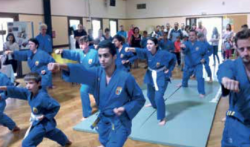 doivovinam