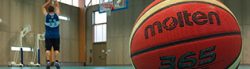 panda-basket